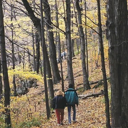 Ibis Styles Porte Du Luxembourg 3*