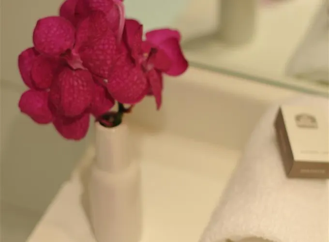 Ξενοδοχείο Ibis Styles Porte Du Luxembourg 3*